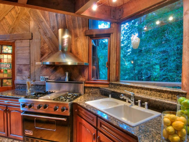 Photo of kitchen inside of tree house in the forest