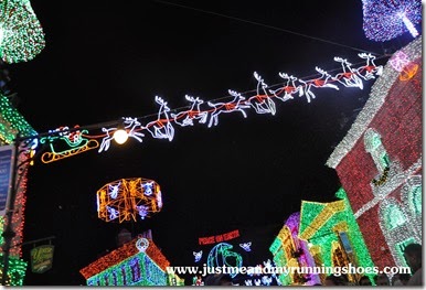 Osborne Family Spectacle of Dancing Lights (10)