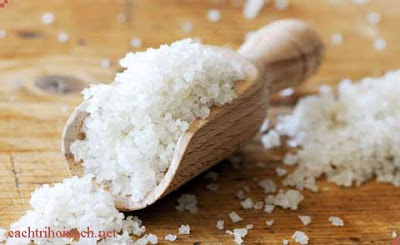 Trị hôi nách bằng phèn chua