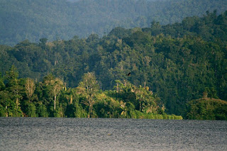 Wisata Taman Nasional Lore Lindu