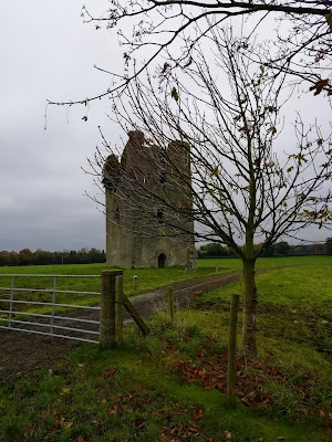 Tinnakill Castle, Laois