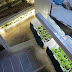Lighting and Vegetable Seed Starting Closet Principles and Design Ideas: Save Money and Grow More Vegetables in Your Garden