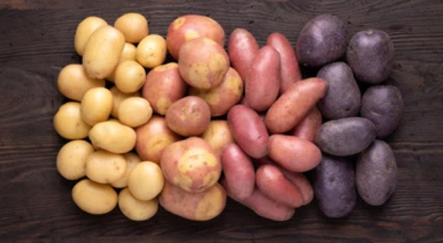 Know which are the important varieties for planting potatoes in the kitchen garden