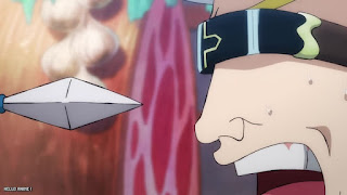 ワンピース アニメ 1087話 ヘルメッポ 女ヶ島 アマゾンリリー ONE PIECE Episode 1087