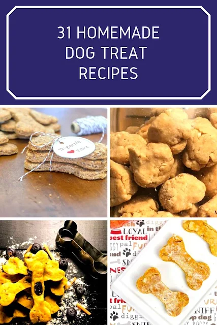 How to make homemade dog treats with 31 easy recipes. These are the best recipes with peanut butter, pumpkin, sweet potato, banana, oatmeal, applesauce, carrot, blueberry, and coconut oil as ingredients. These gourmet healthy treats are simple to make at home. Some are grain free. Includes no bake frozen treats with no flour and yogurt. Two DIY cupcake treat recipes for a birthday party. The best home made dog treats for both chewy and soft. Some dehydrated recipes with chicken meat and cheese. #dogtreat #dog #pets