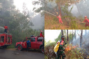 Kebakaran Lahan Terjadi di Kelurahan Tampo Mengkendek, Tana Toraja