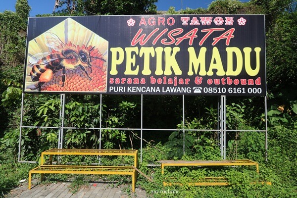 Wisata petik Madu Lawang