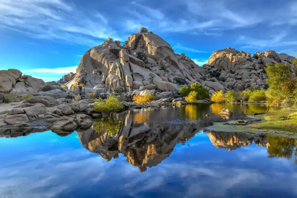 Joshua Tree National Park