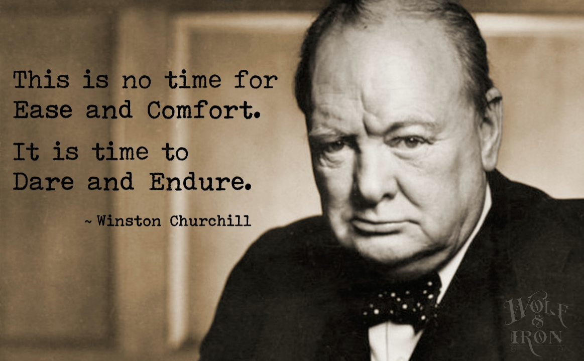 Winston Churchill Birthday Quote Karlapaponderresearchco