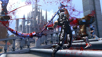 #20 Ninja Gaiden Sigma Wallpaper