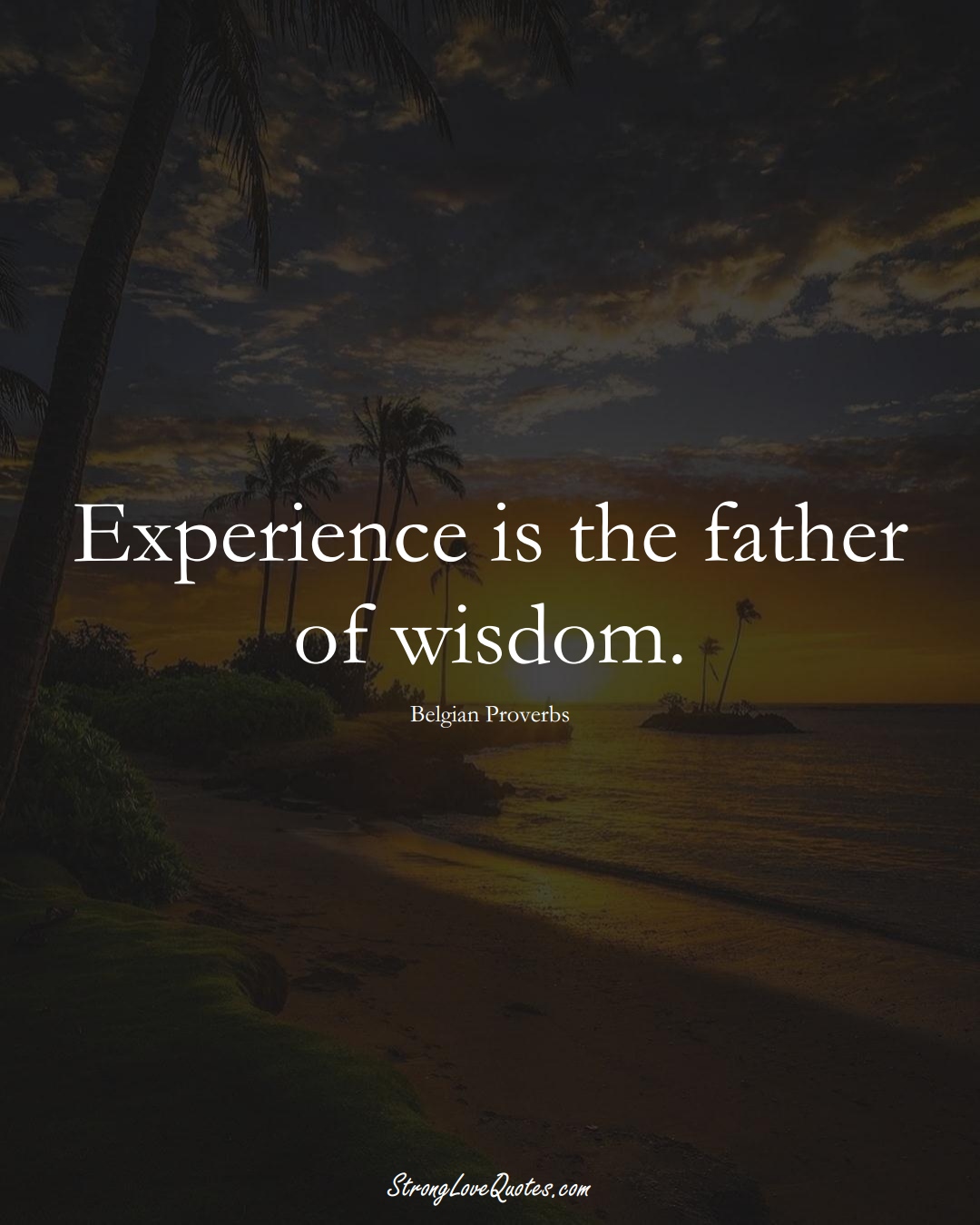 Experience is the father of wisdom. (Belgian Sayings);  #EuropeanSayings