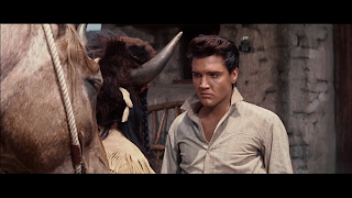 elvis movie images