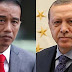 Jangan Bandingkan Erdogan dengan Jokowi, Jauuh