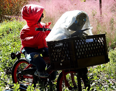 Scarecrows in the Garden, Atlanta Botanical Garden