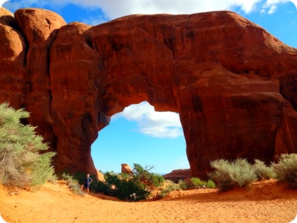 pine tree arch
