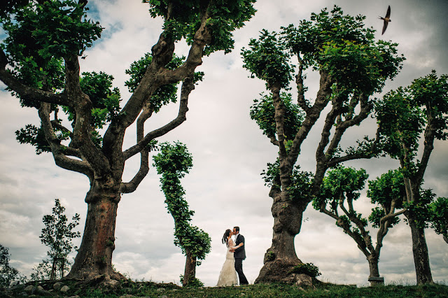 Concurso escolhe as melhores fotografias de casamento em paisagens naturais