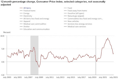 CHART: Consumer Price Index 12-Month Percentage Change - July 2023 Update