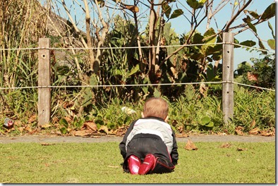 Resize of IMG_3819