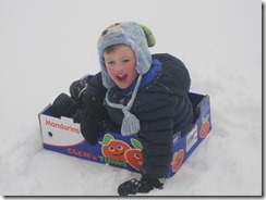 IMG_2348 IMG_2348