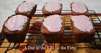 Sweet Potato Cranberry mini loaves