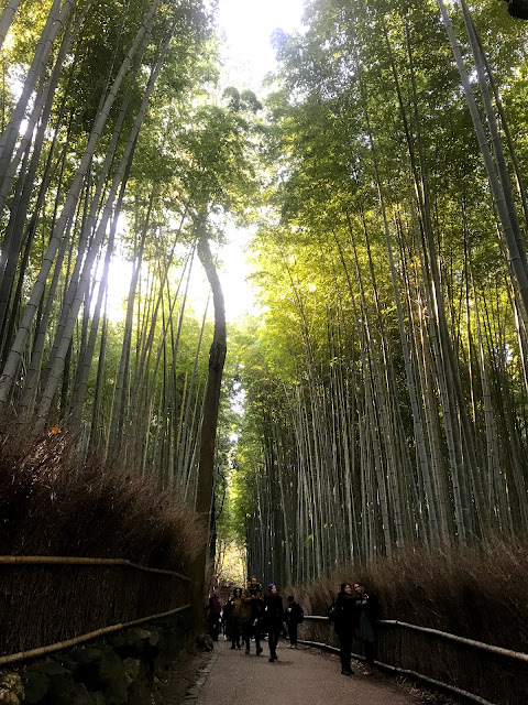 Arashiyama Bamboo Grove