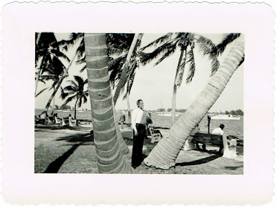 standing by the palm trees in Miami Florida