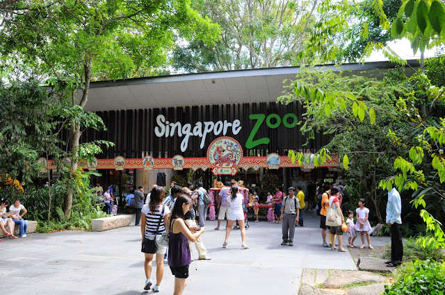 Singapore Zoo