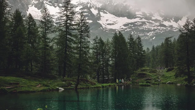 Lago, Montanhas, Árvores, Chuva, Natureza