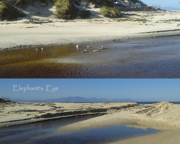 Silvermine River with the mouth bulldozed open