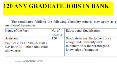 120 Any Graduate Job Vacancies available in Bank