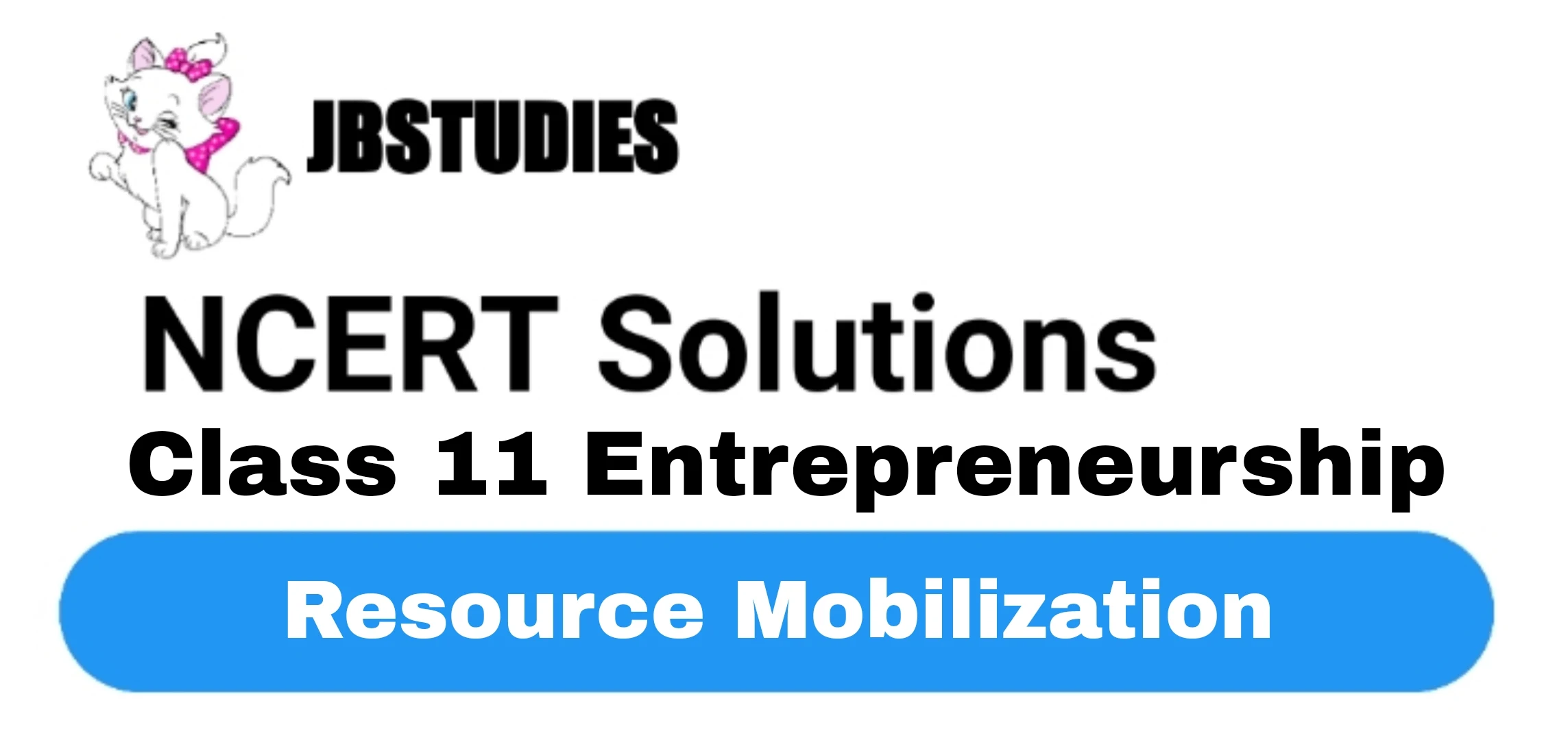 Solutions Class 11 Entrepreneurship Chapter -7 (Resource Mobilization)
