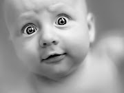 Funny Babies Wallpapers (funny babies wallpapers )