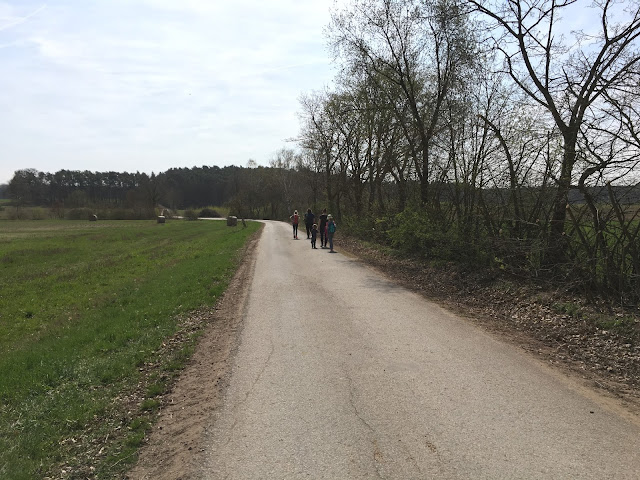 Schloss Weissenstein Wanderung