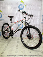 24 Inch Tranzline 300 Alloy 21 Speed Junior Mountain Bike