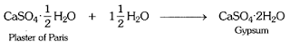 NCERT Solutions of class 10 Science chapter 2 Acids,Bases and Salts