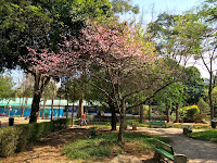 Parque Santos Dumont