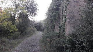 Poblet a Prenafeta, GR-175, Camí de l'Ermita