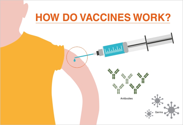 Hilleman Laboratories: How do vaccines work?
