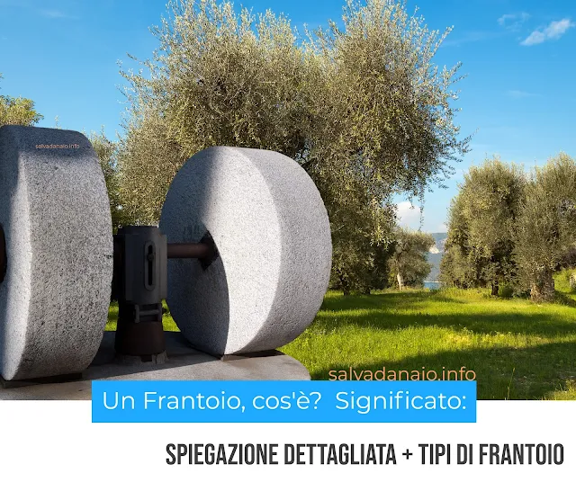 frantoio-significato-spiegazione