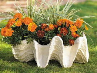 Giant Clam Shell Planter