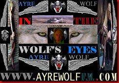 IN THE WOLFS EYES HEADER