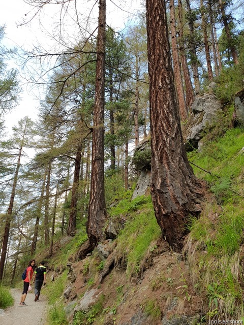 Hiking the AHV Weg trail in Zermatt. 