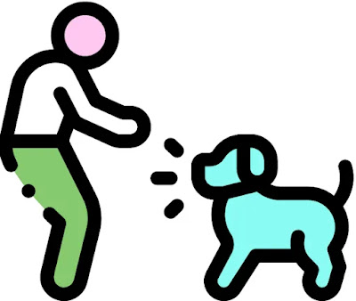 Training Your Dog to Come When Called