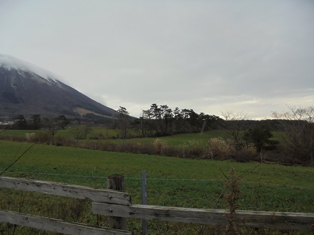 大山まきばみるくの里