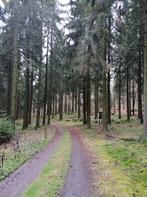 Sauerland wandern Wetter blog Schmallenberg Homert