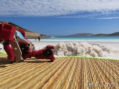 IMG_4514