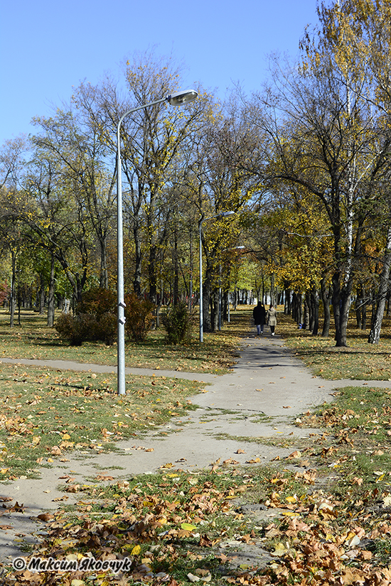Фотограф Максим Яковчук: Парк Дарницького шовкового комбінату (фото зроблені 22 жовтня 2021 року)