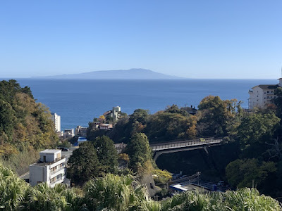 展望台から望む伊豆大島