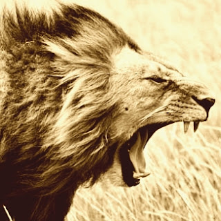 Roaring Lion