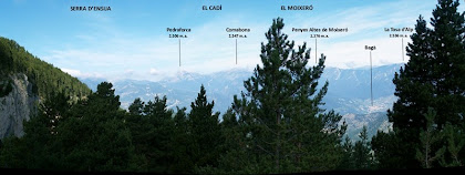 Panorama des de la Serra d'Ensija al Puigllançada des de la pista de Sant Romà de la Clusa